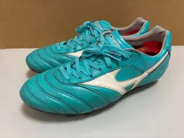 [ 가격 인하 가능 ] 모렐리아 2JAPAN 블루