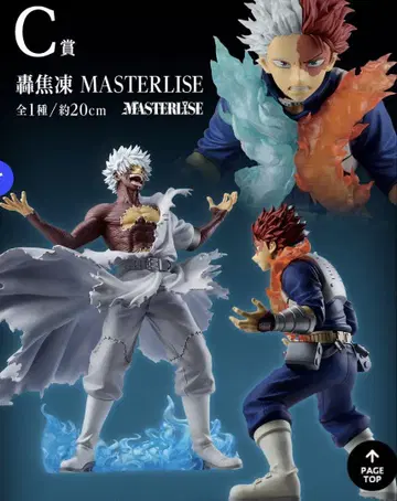 토도로키 쇼토 MASTERLISE C상 약 20cm