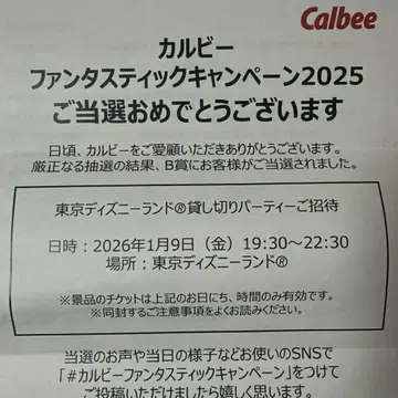 도쿄 디즈니랜드 대관 2인분