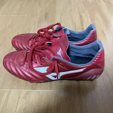 Mizuno 모나르시다 neo