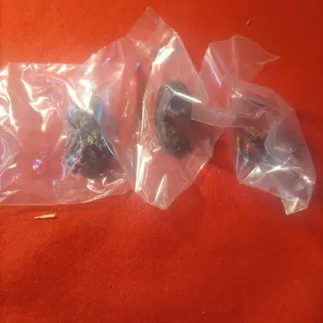 고질라 제일복권 몬스터 헤드 마그넷 세트