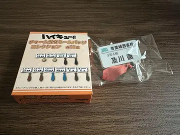 오이카와 토오루 네임 배지 덤 포함