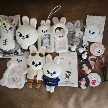 [ 공식 ] straykids 리노