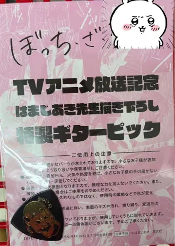 보사노바 기타 피크