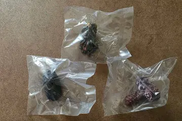 고질라 제일복권 E상 몬스터 헤드 마그넷 3개 세트