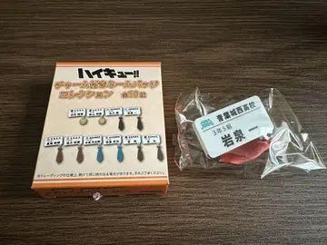 이와이즈미 하지메 네임 배지 덤 포함