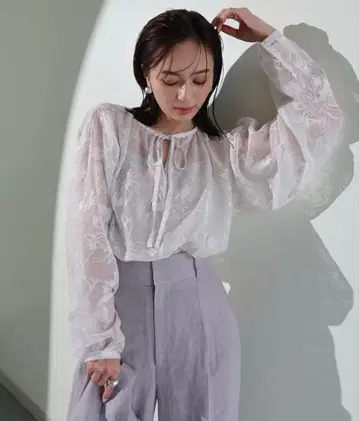 아뉴앙스 비침 레이스 긴팔 블라우스