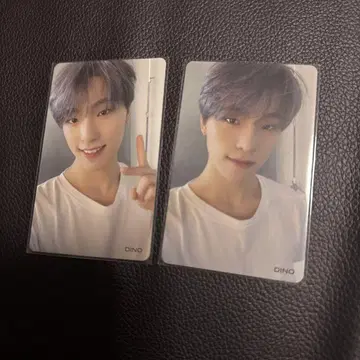 SEVENTEEN 세븐틴 디노 혼자서는 안돼 hmv 트레이딩 카드 세트