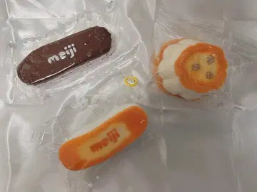 스퀴즈 세트