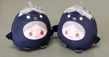 하이큐!! 스가와라 코시 테노린즈