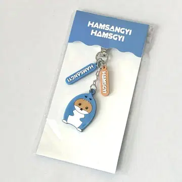 기현 HAMSANGYI HAMSGYI 키링