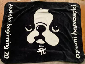 하마사키 아유미 담요