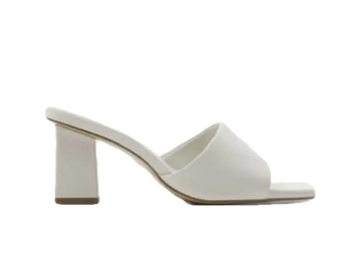 여자 구두 PNG 일러스트 | 이미지 및 PSD 파일 | Pngtree에 무료 다운로드, image size:1200x854