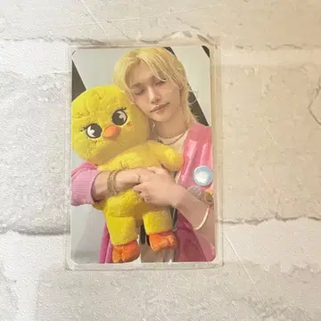 스키즈 SKZOO 포토카드 틴케이스 트레카 필릭스