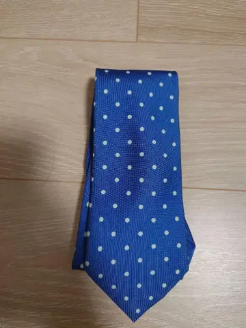 스테파노 비기 도트 넥타이 파랑