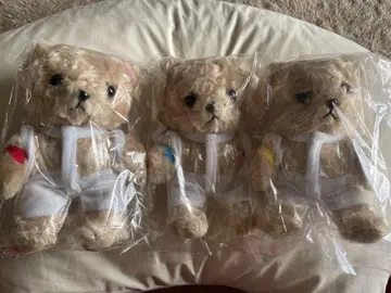 아라시 봉제 인형 시스루 베어 SEE-THROUGH WEAR BEAR