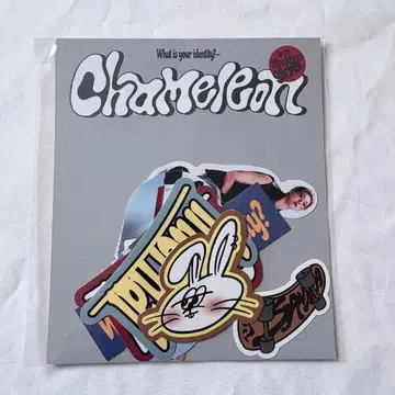 ASTRO 윤산하 사나 chameleon POPUP 스티커