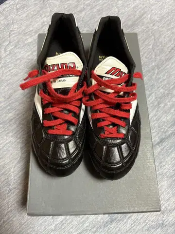 모렐리아 2 japan 24.5cm
