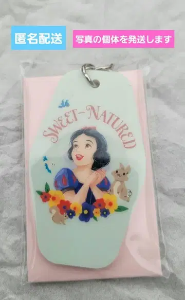 디즈니&픽사 캐릭터 호텔 택풍 키링 백설공주