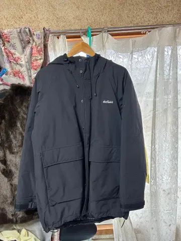 와일드 띵스 다운 마운틴 후드티 데날리