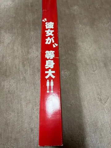 아야카와 아미 그녀가 등신대 포스터 1000장 한정판