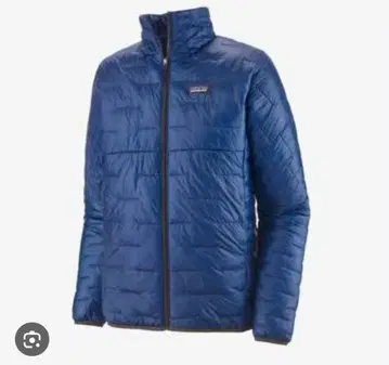 Patagonia 마이크로 퍼프 자켓 파랑