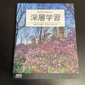 DEEP LEARNING 심층 학습