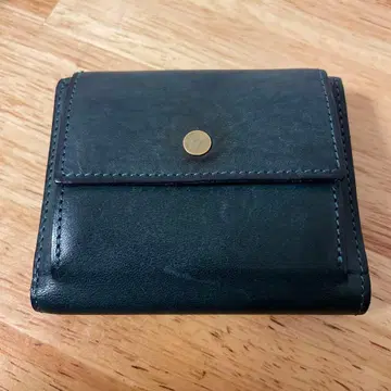 레마 렉타 렌마 렉타