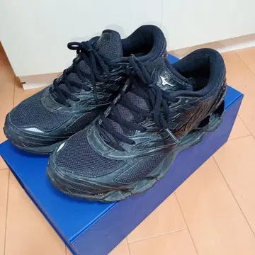 Mizuno wave-prophecy