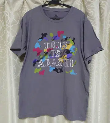 THIS IS ARASHI 티셔츠 그레이