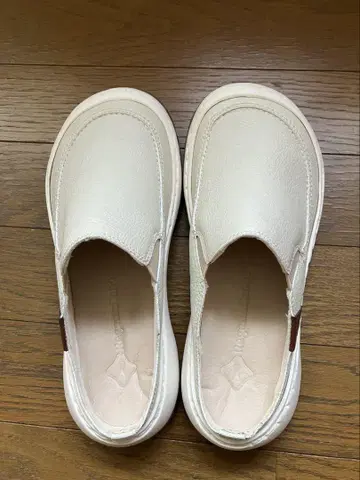 레게타카누