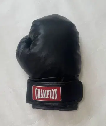 CHAMPION 복싱 그로브 블랙