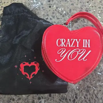 zeenunew 2nd 콘서트 미니 purse