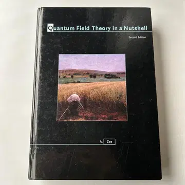 Quantum Field Theory in a Nutshell