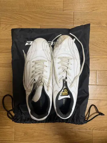 야구 스파이크
