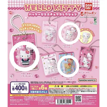 HELLO KITTY 헬로키티 키티 패키지 미니어처 컬렉션