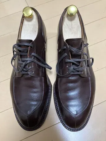 아치 리 아르곤킨 6 다크 브라운