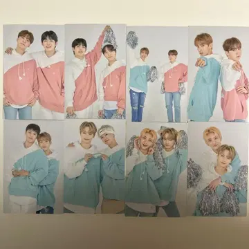 캐럿랜드 페어 트레이딩 카드 8장