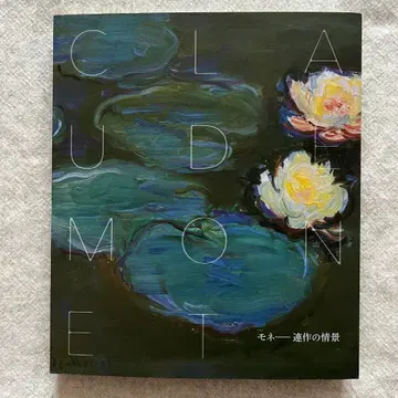 도록 모네 연작의 정경