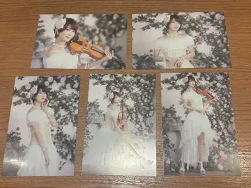 [ 한정품 ] Ayasa 브로마이드 5장 세트