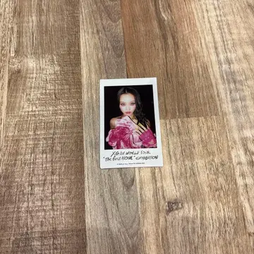 XG EXHIBITION instax mini 폴라로이드 CHISA 치사