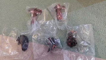 제일복권 고질라 괴수난무 거친 것들 E상 몬스터 헤드 마그넷 전종+1