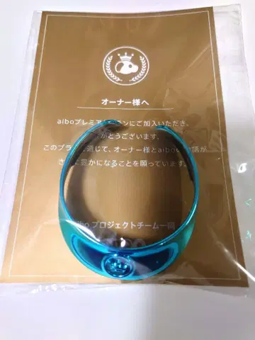 신색 aibo 목걸이 터콰이즈 2025