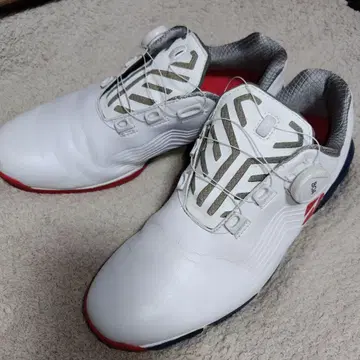 브릿지스톤 BOA 골프화 화이트