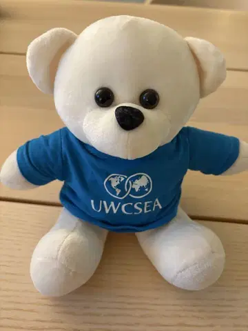 싱가포르 UWCS T셔츠 포함 봉제 인형