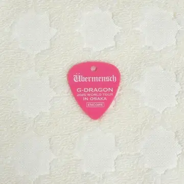 귀중 G-DRAGON 2025 WORLD TOUR 피크 입장 혜택