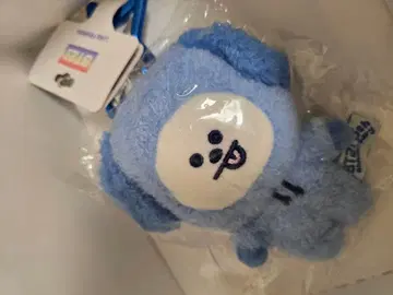 BT21 5주년 VILLAGE VANGUARD 한정판 치미