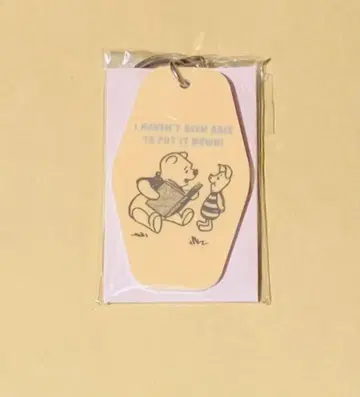 디즈니&픽사 캐릭터 호텔 택풍 키링