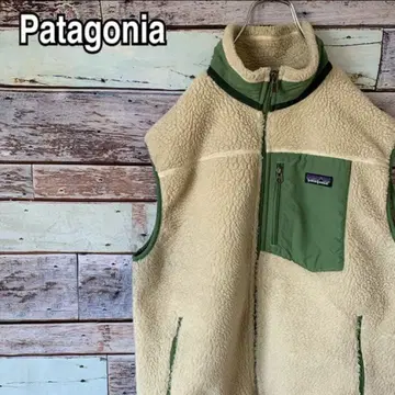 Patagonia 베스트 다운
