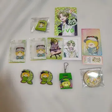 카라피치 시바 씨 묶음 판매